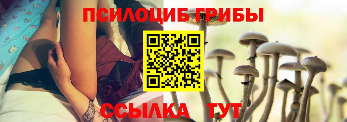 Псилоцибиновые грибы мицелий Барабинск